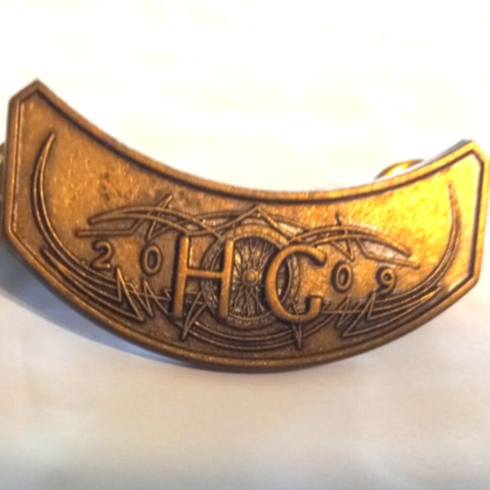Harley-Davidson 2009 HOG Pin (Harley Owners Group) Rocker Vest/Hat/Lapel